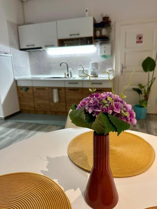 סיביו Zion Home מראה חיצוני תמונה